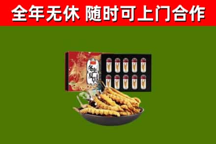阜宁烟酒回收冬虫夏草礼盒.jpg